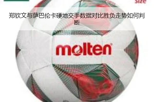 郑钦文与萨巴伦卡硬地交手数据对比胜负走势如何判断 - WANMEISPORTS